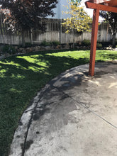 Load image into Gallery viewer, best grass seed for shade