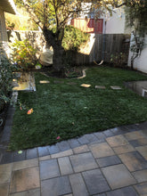 Load image into Gallery viewer, Shade Blend boreal creeping red fescue