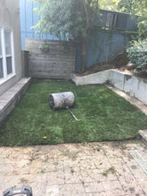 Load image into Gallery viewer, sun and shade grass