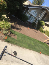 Load image into Gallery viewer, Delta Rye Blue grass - Bay Area Sod and Seed