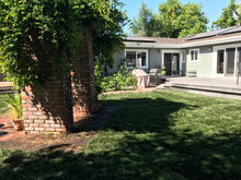 Load image into Gallery viewer, tall fescue blend