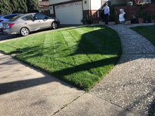 Load image into Gallery viewer, Delta Blue Rye - Bay Area Sod and Seed