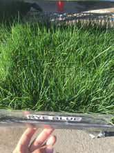 Load image into Gallery viewer, Delta Rye Blue grass - Bay Area Sod and Seed