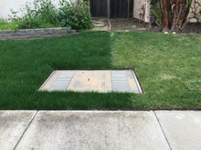 Load image into Gallery viewer, Delta Blue Rye 50 50 Grass Bluegrass Ryegrass Sod - Native Lawn Delivery