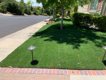 Load image into Gallery viewer, Rye Blue grass Sod