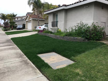 Load image into Gallery viewer, Rye Blue grass Sod