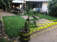 Load image into Gallery viewer, kentucky bluegrass seed near me