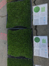 Load image into Gallery viewer, Ryegrass - Bay Area Sod and Seed