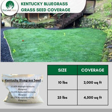 Load image into Gallery viewer, kentucky bluegrass grass seed