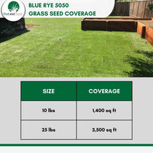 Load image into Gallery viewer, perennial rye grass kbg grass seed