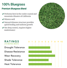 Load image into Gallery viewer, Kentucky Bluegrass Seed - Native Lawn Delivery
