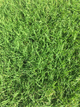 Load image into Gallery viewer, latitude 36 bermuda grass sod