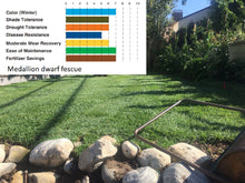 Load image into Gallery viewer, medallion dwarf fescue