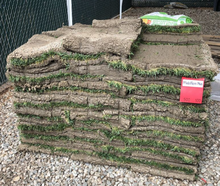 Load image into Gallery viewer, medallion plus sod pallet