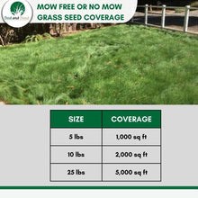 Load image into Gallery viewer, no mow grass seed