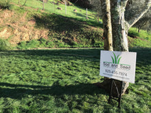 Load image into Gallery viewer, Mow Free / No Mow Grass - Native Lawn Delivery