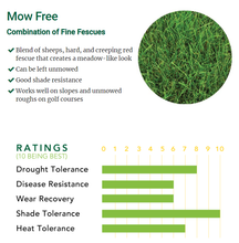 Load image into Gallery viewer, mow free grass seed ratings