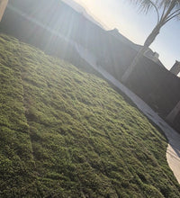 Load image into Gallery viewer, Mow Free / No Mow Grass - Native Lawn Delivery