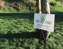 Load image into Gallery viewer, Mow Free / No Mow Grass - Native Lawn Delivery