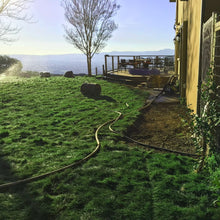 Load image into Gallery viewer, native sod no mow