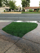 Load image into Gallery viewer, bluerye grass seed