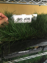Load image into Gallery viewer, no mow creeping fescue sod