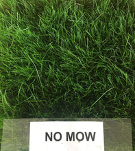 Load image into Gallery viewer, mow free sod also called no mow