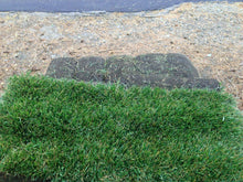 Load image into Gallery viewer, pallet of elite plus sod