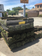 Load image into Gallery viewer, Pallet of Hybrid Fescue