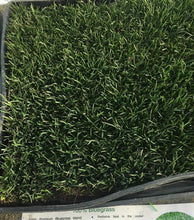 Load image into Gallery viewer, 100 Percent Premium Bluegrass