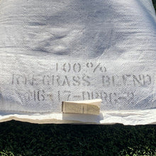 Load image into Gallery viewer, rye seed