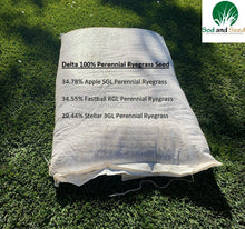 Load image into Gallery viewer, ryegrass seed