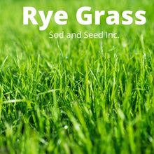 Load image into Gallery viewer, rye grass sod for sale near me