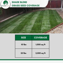 Load image into Gallery viewer, grass seed for shady lawn