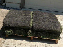 Load image into Gallery viewer, small amount of grass delivered