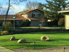 Load image into Gallery viewer, sod elite plus