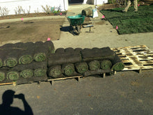 Load image into Gallery viewer, Elite plus sod installation