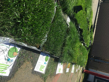 Load image into Gallery viewer, price of sod