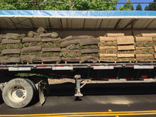 Load image into Gallery viewer, Celebration sod on sandy loam