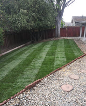 Load image into Gallery viewer, Shade Blend red fescue grass seed