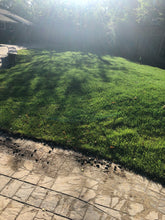 Load image into Gallery viewer, delta tall fescue 9010 sod