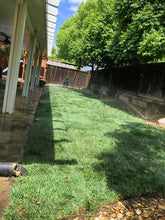Load image into Gallery viewer, tall fescue sod mix