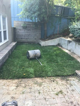 Load image into Gallery viewer, tall fescue with fine fescue