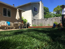 Load image into Gallery viewer, delta tall 90/10 sod