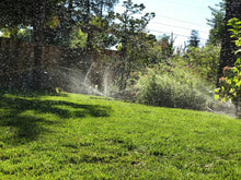 Load image into Gallery viewer, tall fescue with bluegrass turf