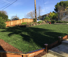 Load image into Gallery viewer, Tall fescue sod