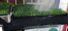 Load image into Gallery viewer, Tifway II Bermuda Grass - Native Lawn Delivery