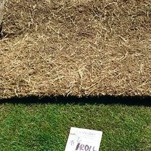 Load image into Gallery viewer, tifway 2 grass