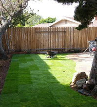 Load image into Gallery viewer, West Coaster Tall Fescue Grass Seed - Native Lawn Delivery