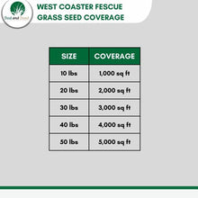 Load image into Gallery viewer, tall fescue grass seed